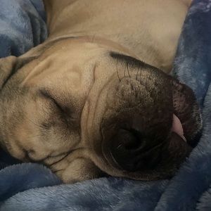 Meet your Posher, Jaden